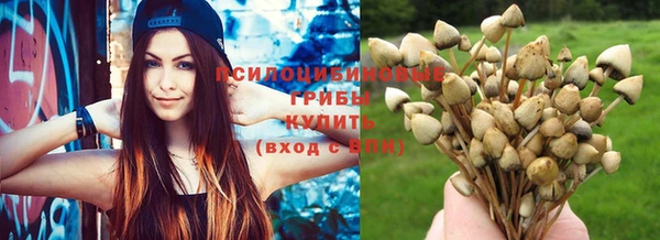 хмурый Коряжма