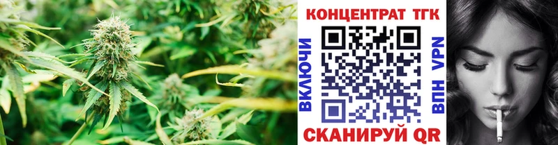 Купить закладки  Зеленогорск  ТГК концентрат 